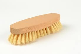 Brosse à main Tampico